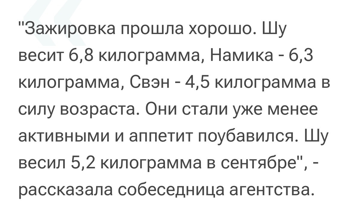 Из открытого доступа. 