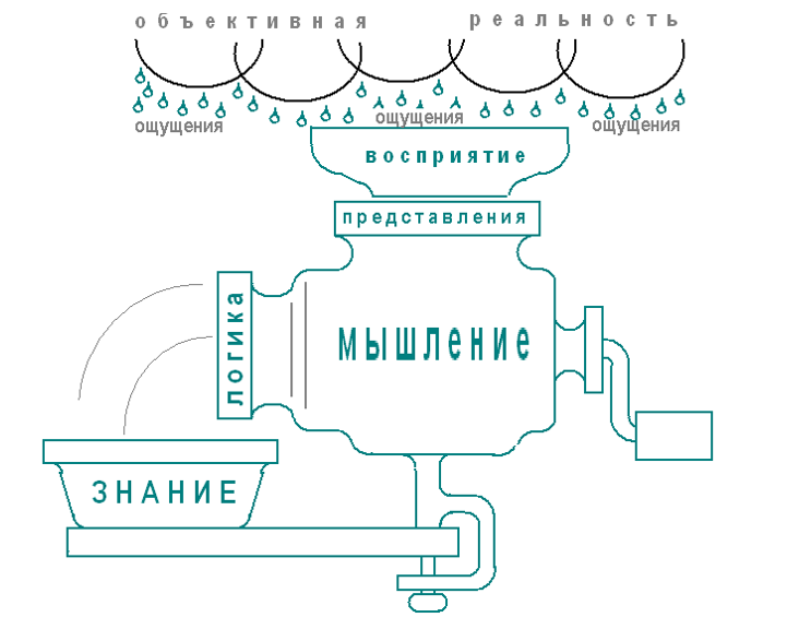 Орешек знаний твёрд,