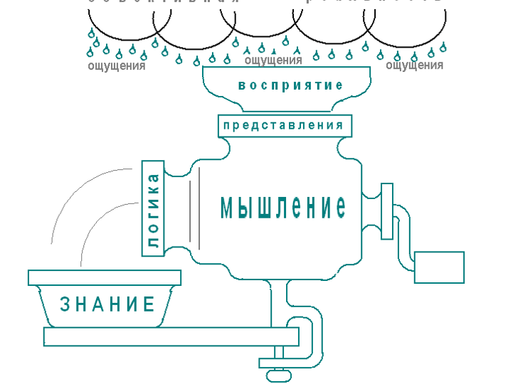 Орешек знаний твёрд,