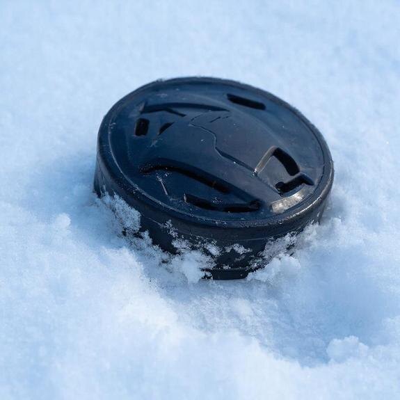    За сборную России по хоккею болел даже Стивен Сигал