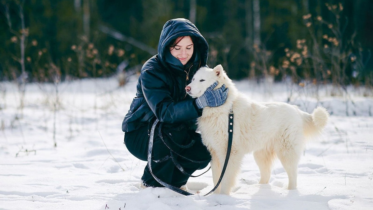    Источник: Пресс-служба Комитета общественных связей и молодежной политики города Москвы