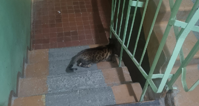    Фото Анастасии Дмитриевой