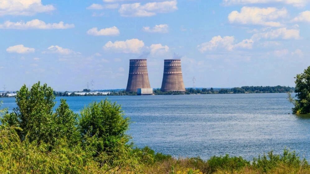    Фото: Olha Solodenko/Shutterstock/Fotodom