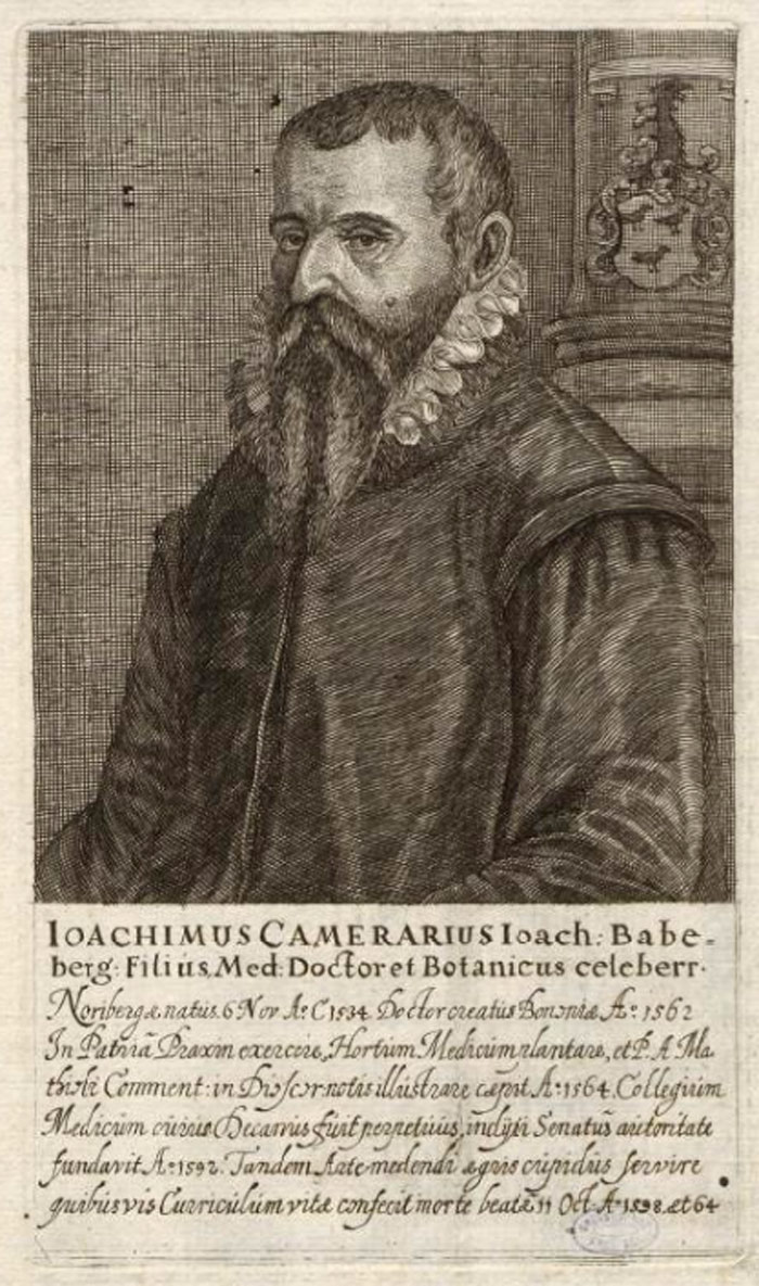 Портрет Иоахима Камерария Младшего из коллекции Греорга Крауса. Ссылка на изображение: http://www.digiporta.net/index.php?id=349051779