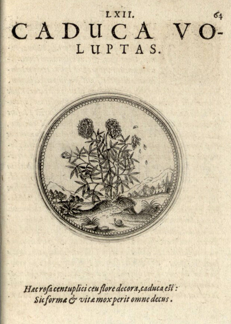 Изображение эмблемы пиона в «Symbolorum & emblematum …» Иоахима Камерария Младшего, 1790 г. Ссылка на изображение: https://www.digitale-sammlungen.de/de/view/bsb00028232?page=130,131