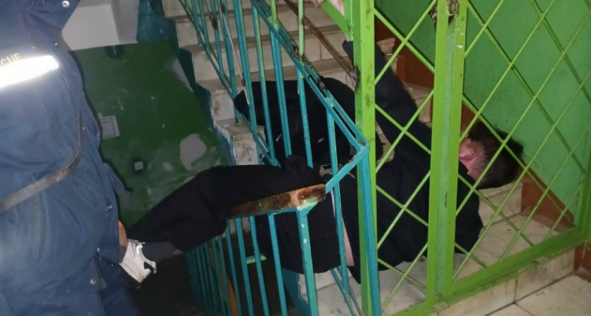    Фото "ПАСС Сыктывкар"