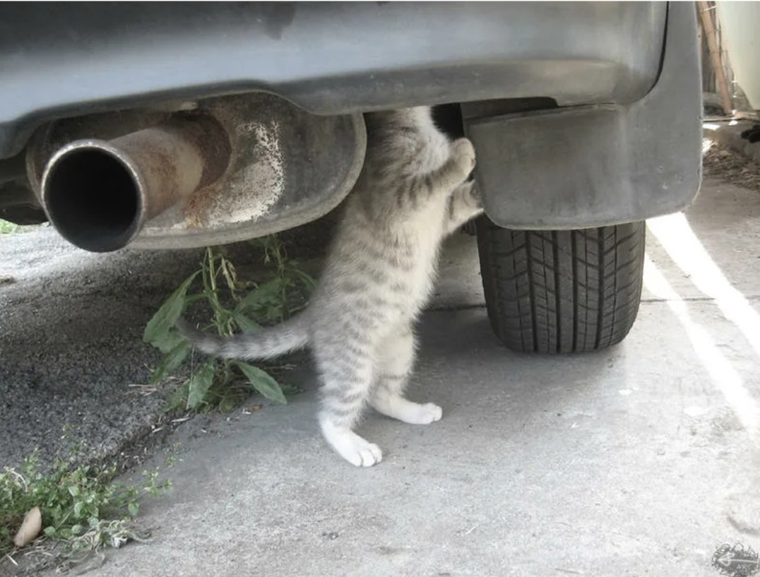 источник Яндекс-картинки