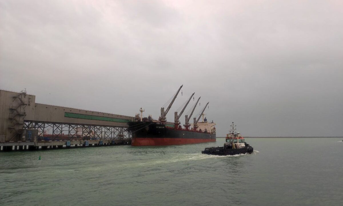    Фото Юрия Степанова, «Кубань 24»