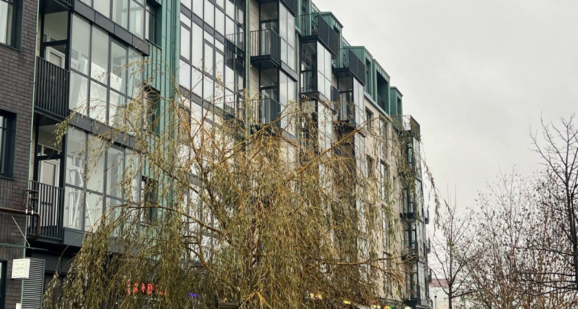    Первый городской канал Калининград