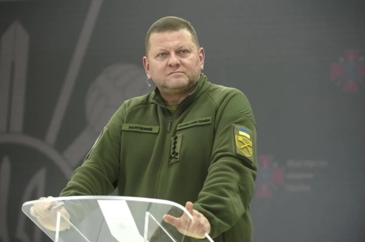    Залужный заявил о риске серьёзного конфликта между гражданами Украины