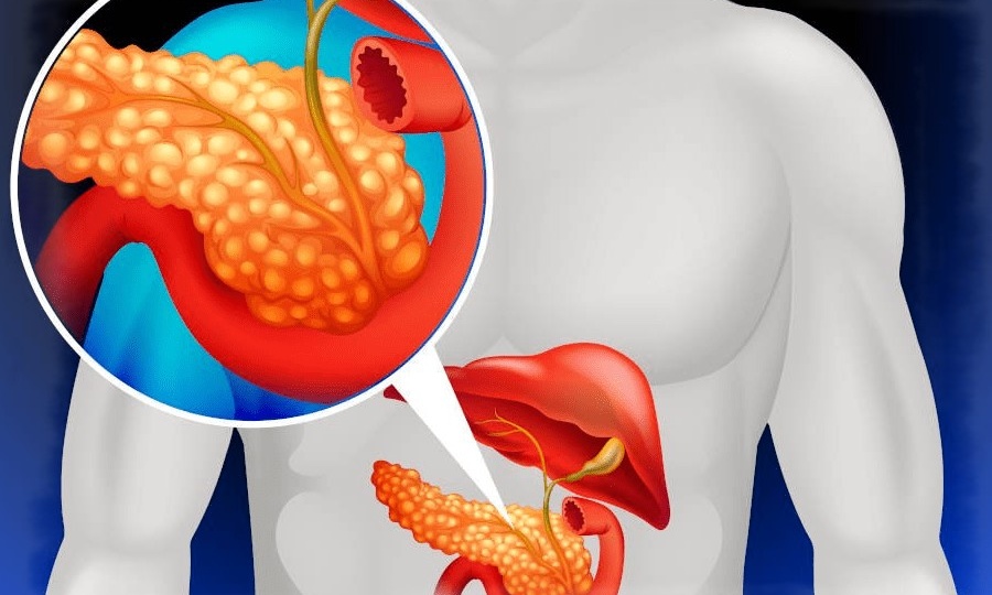 Помогите поджелудочной - и восстановится весь организм: 4 доступных способа