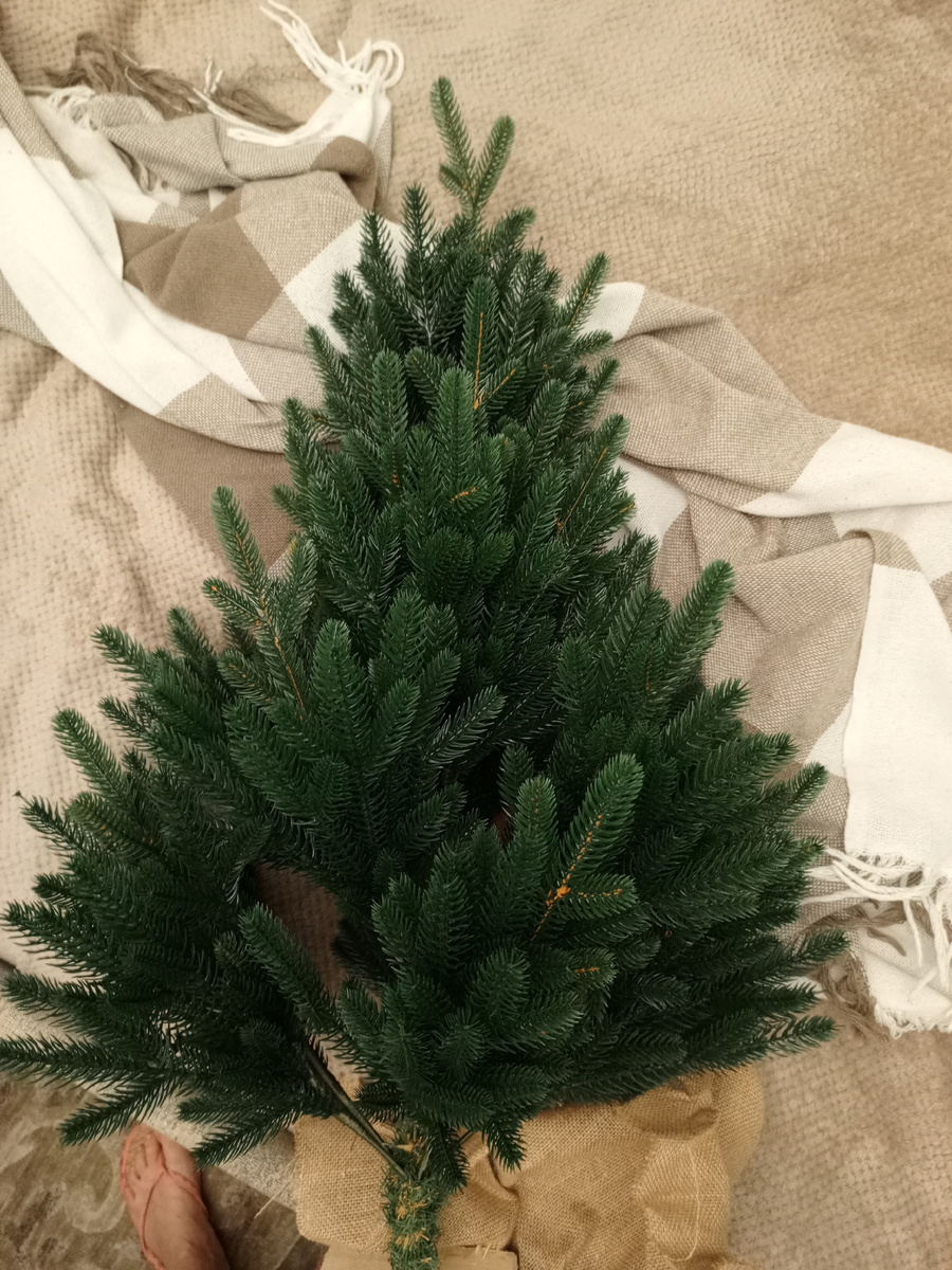 Сама елочка