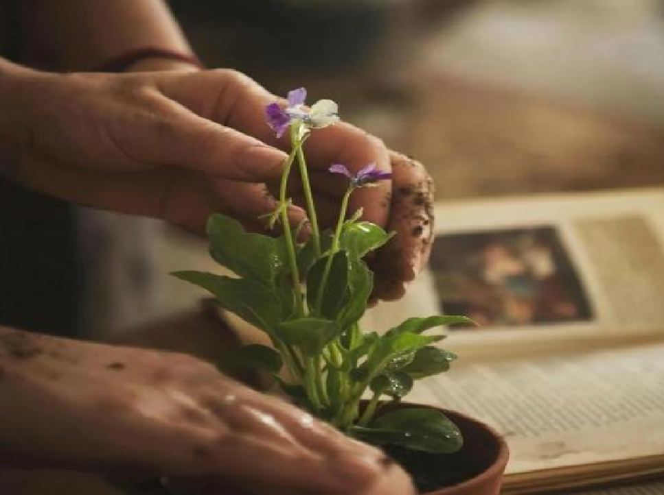 Почему это важно не только для вас?