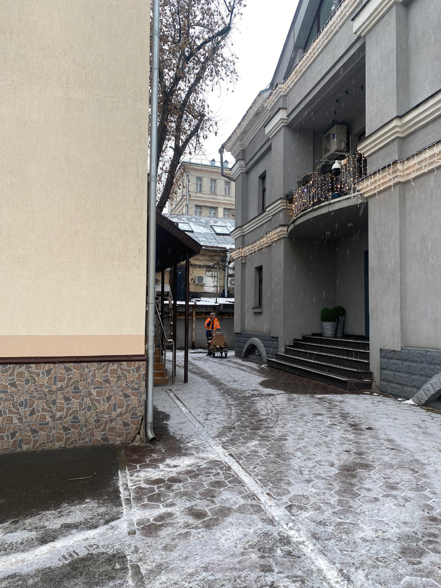 Дворник-убийца кошек