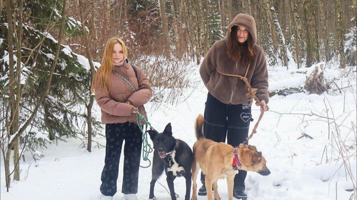    Источник: Приют для содержания безнадзорных животных Западного административного округа города Москвы