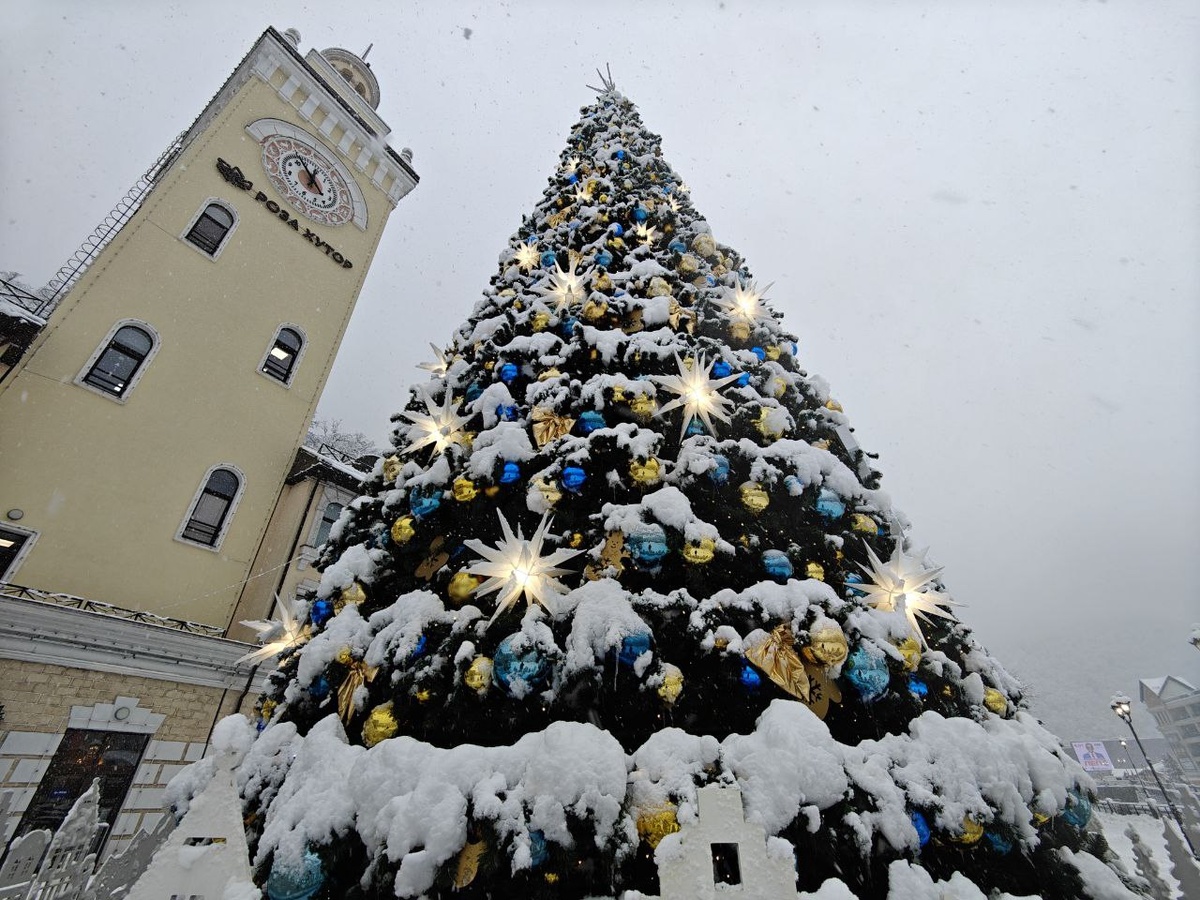    Фото: Юрий Серебренников/BFM Кубань