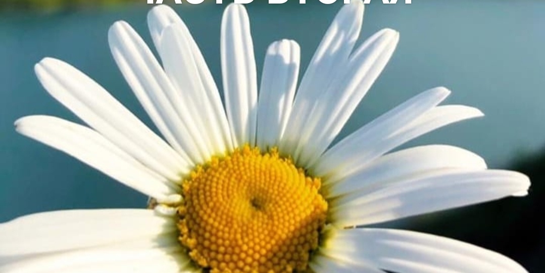 ПОЙМАЙ СВОЁ СЧАСТЬЕ