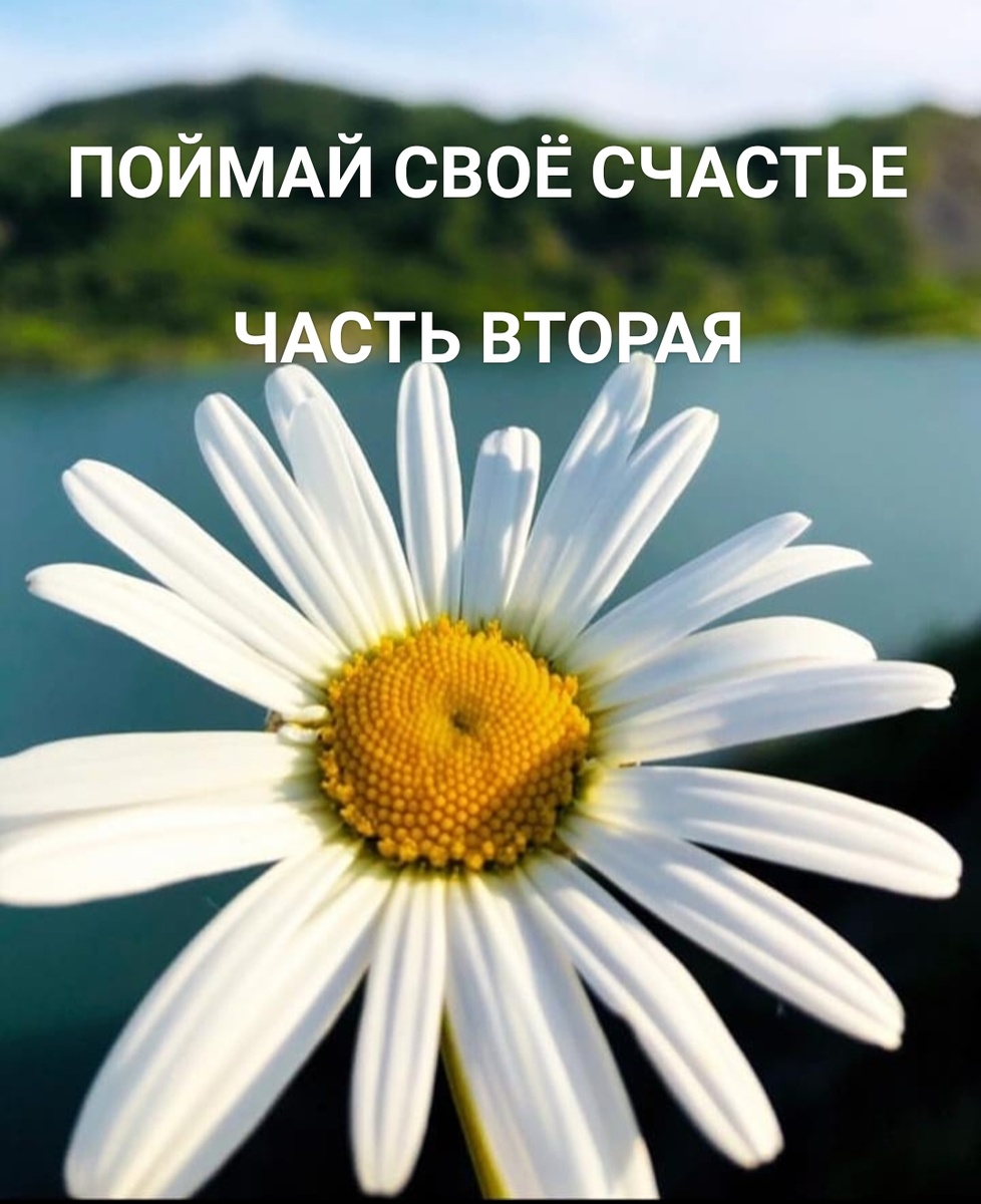 Источник картинки взят из интернета 