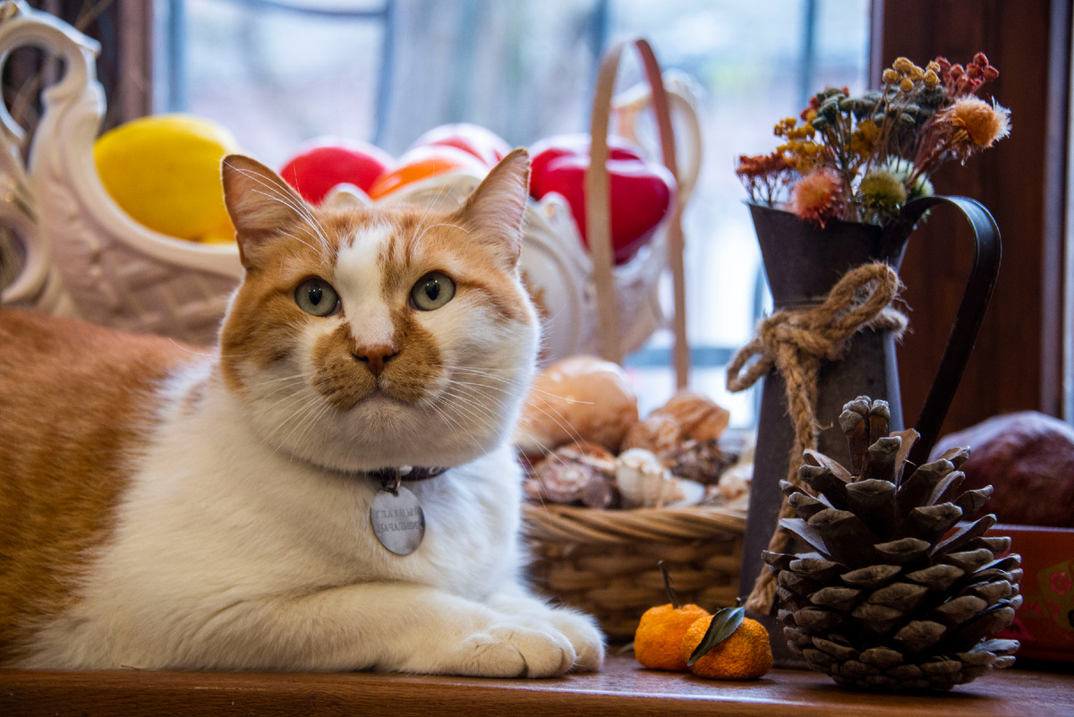 Рисовть меня - одно удовольствие!