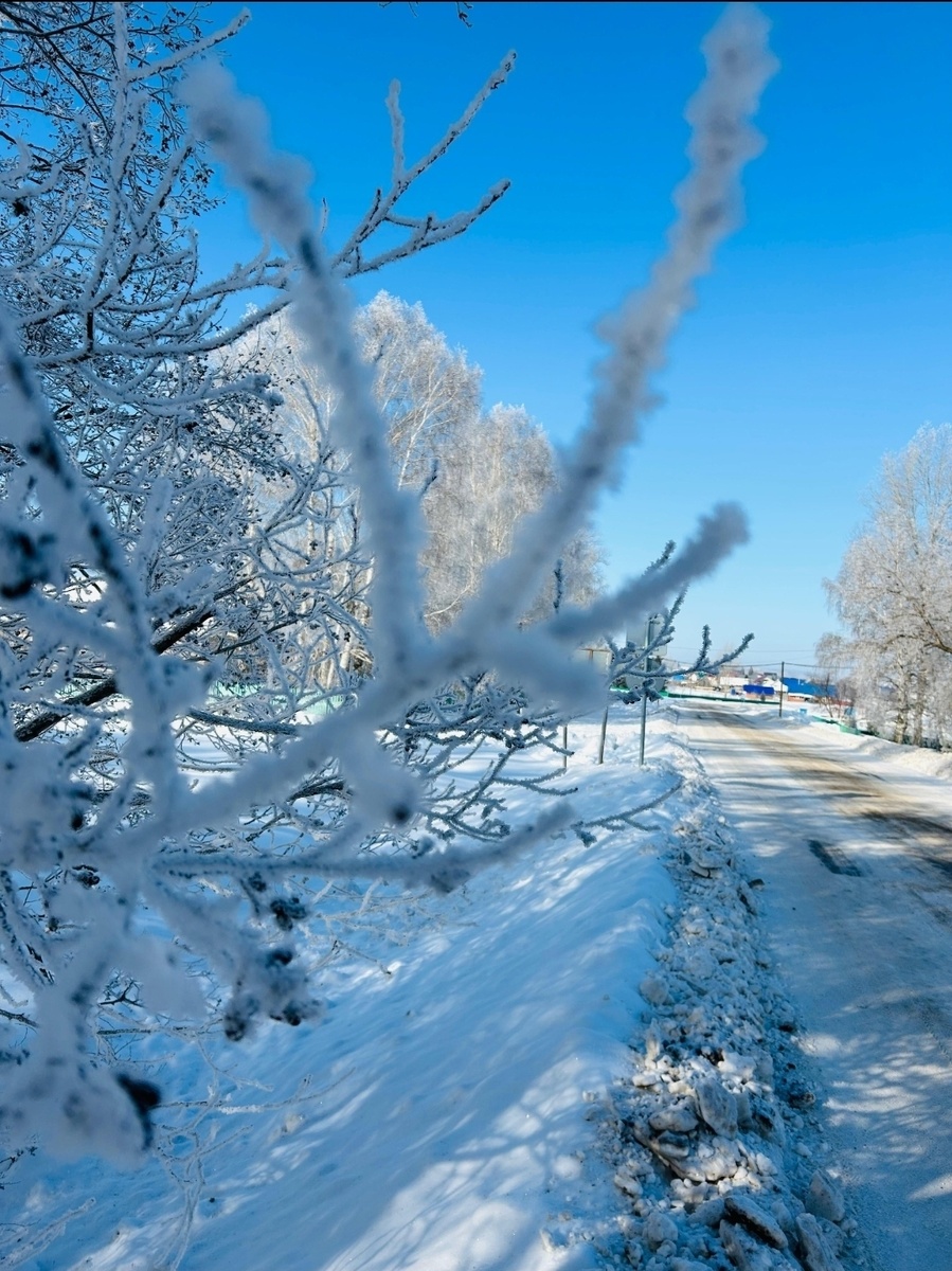     - 30 градус көтөлә