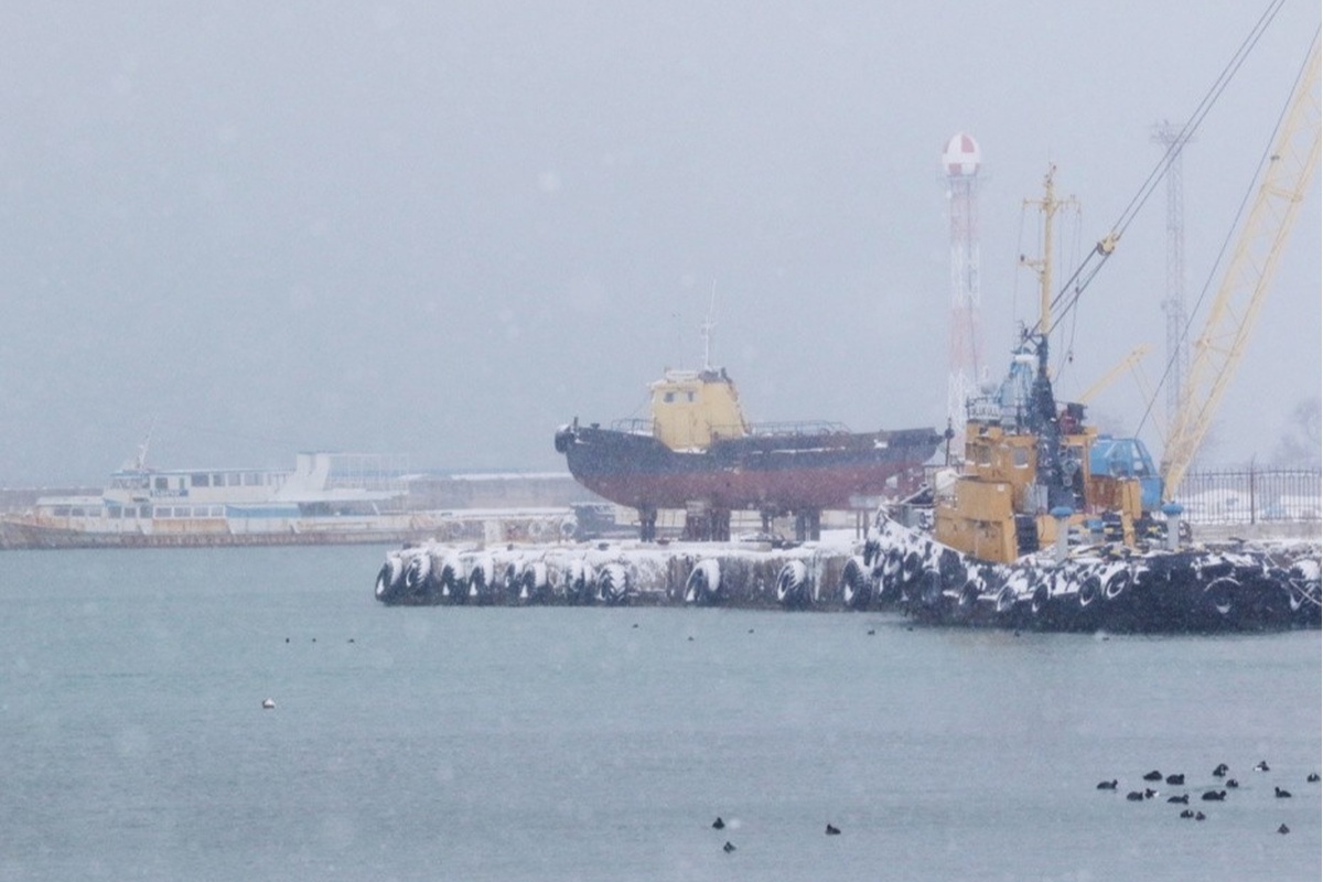    Фото: Алексей Павлишак, источник: РИА Новости