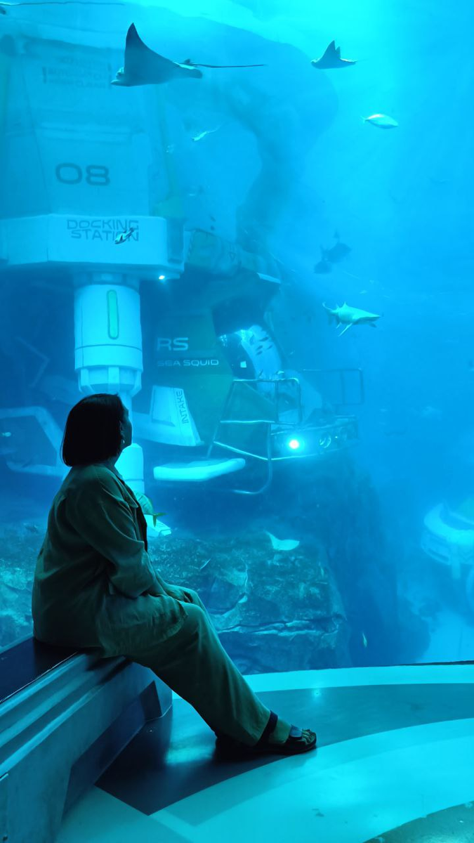 В Sea World Абу-Дуби