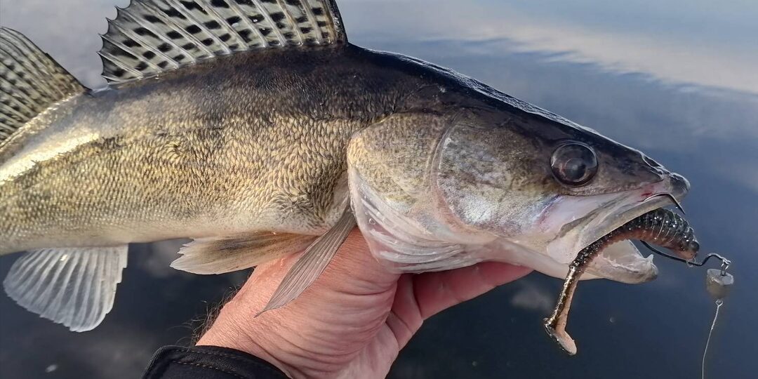 Подведение итогов спиннингового сезона 2025