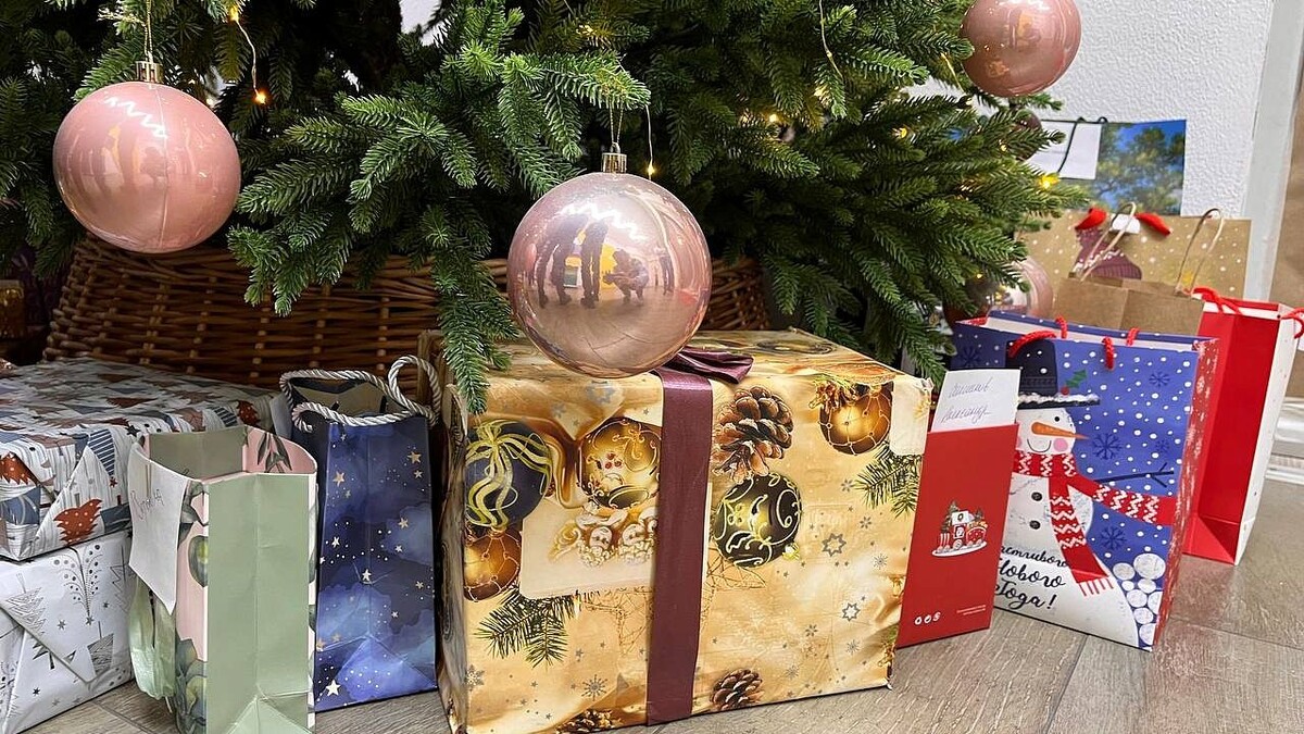    Фото: телеканал «Краснодар»