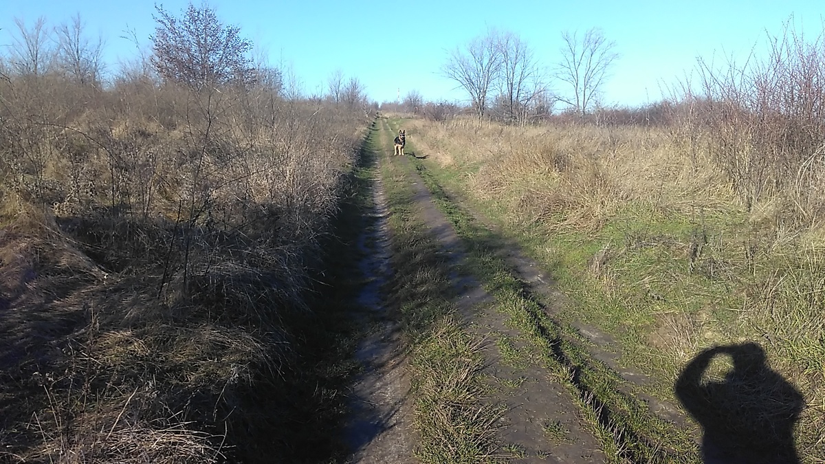 Фото автора