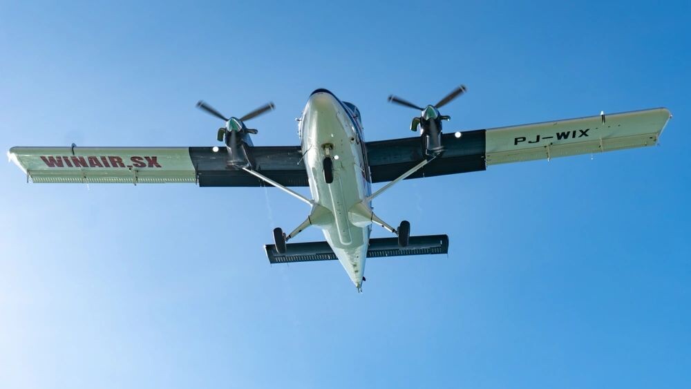    Фото: EWY Media/Shutterstock/Fotodom