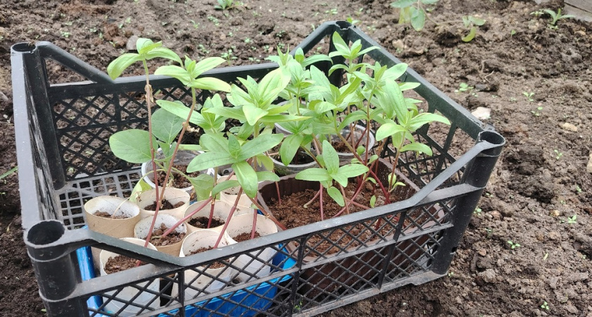    фото из архива редакции