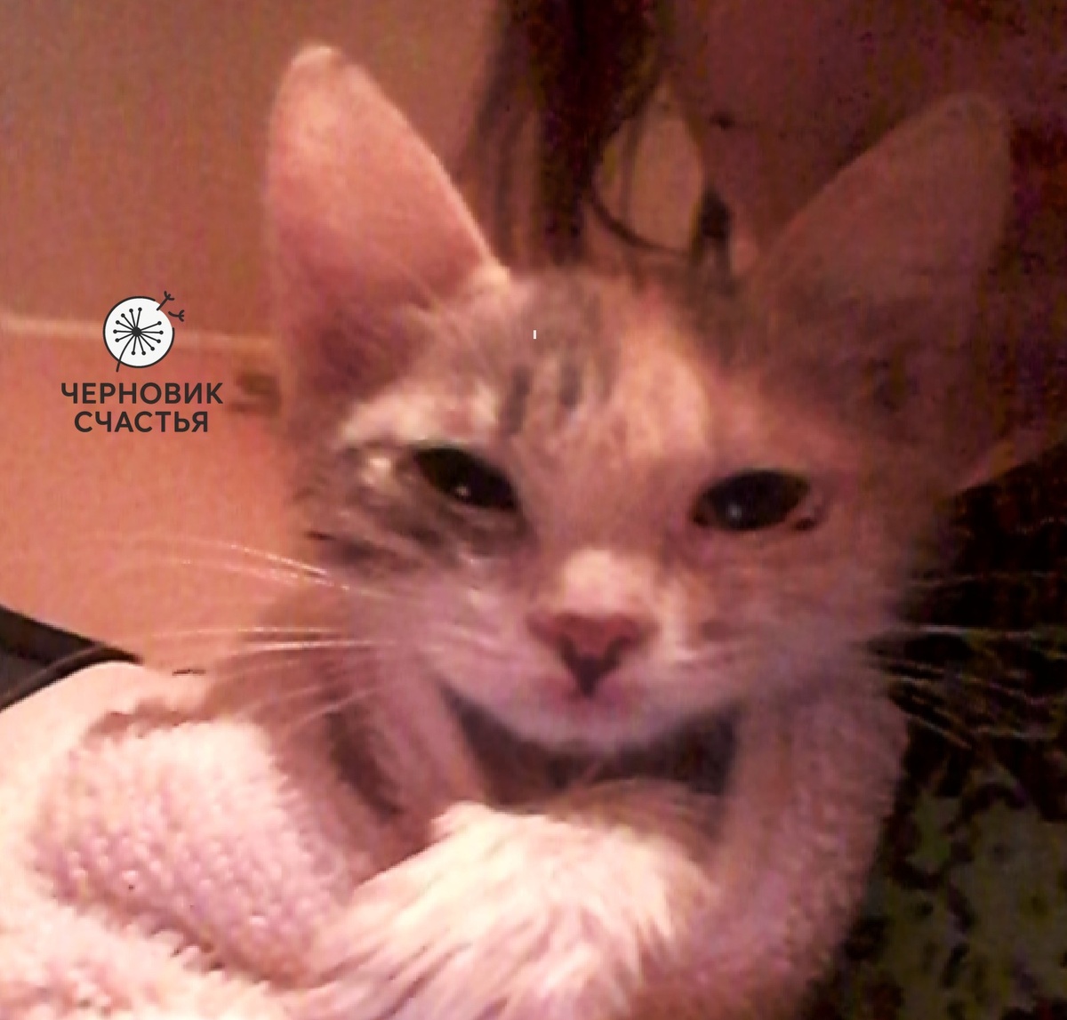 После первых ванных процедур.