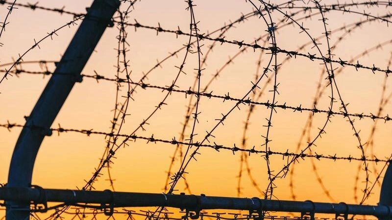    Фото: mTaira/Shutterstock/Fotodom