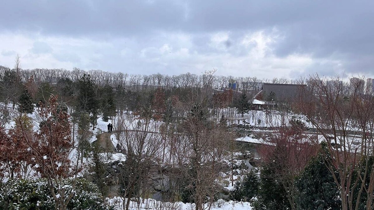    Фото: телеканал «Краснодар»