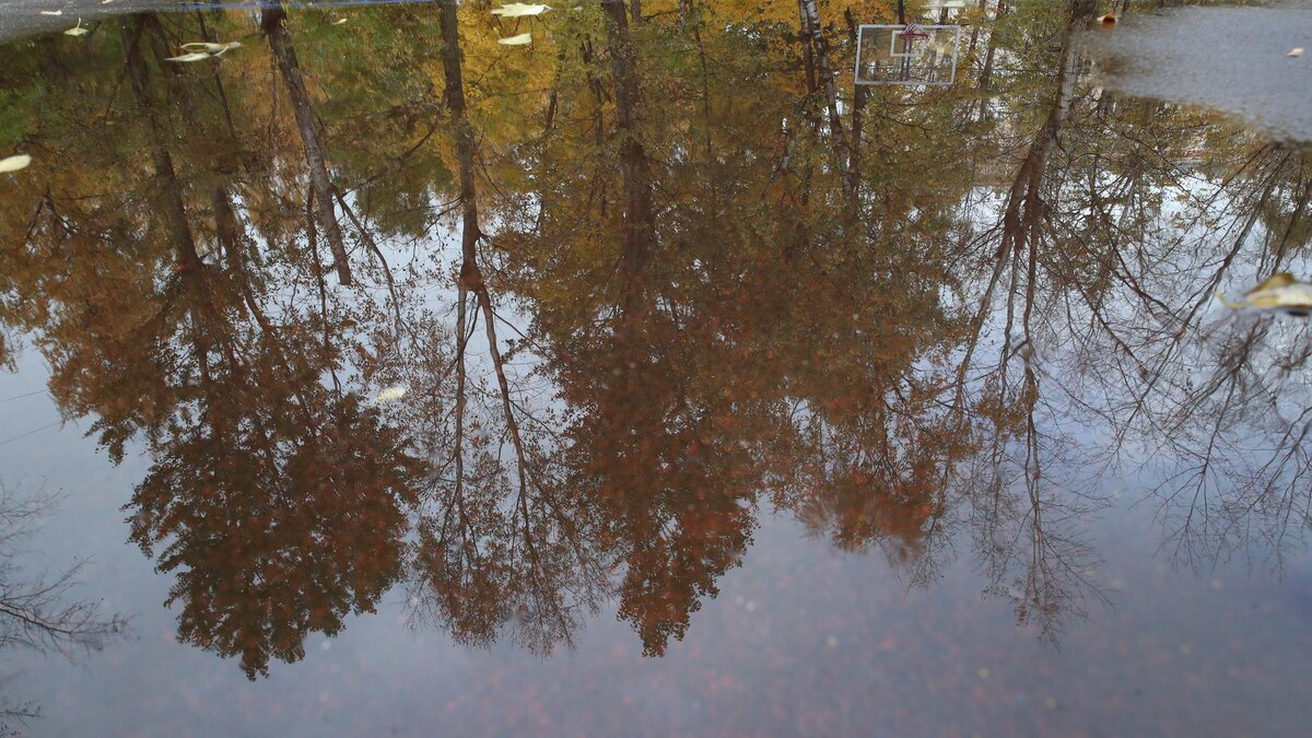    Фото: ИЗВЕСТИЯ/Александр Казаков