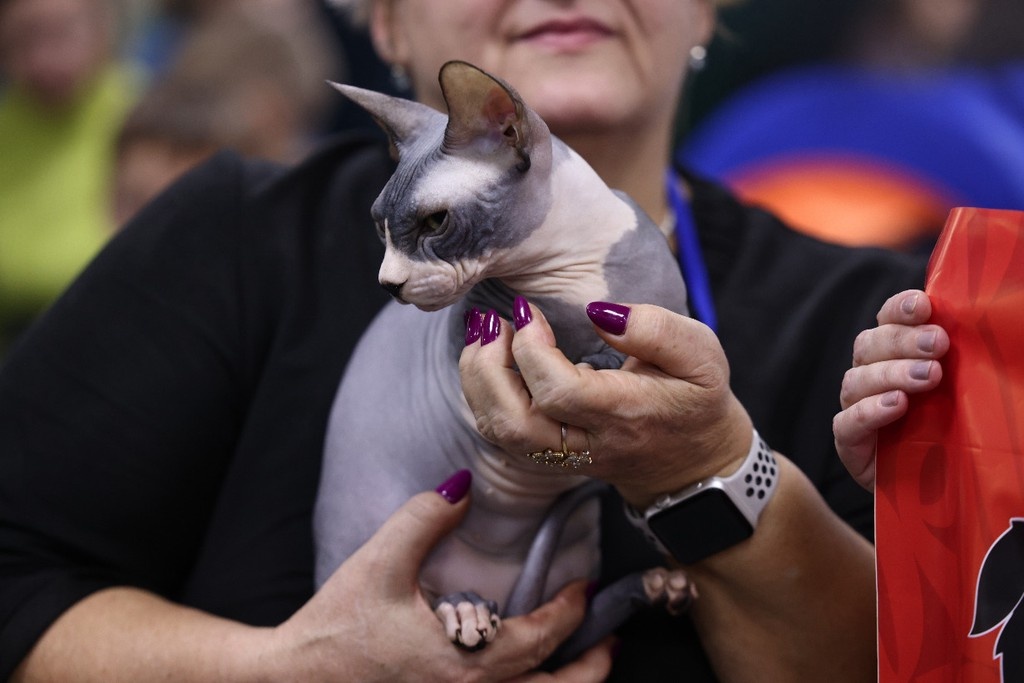    Фото © Анастасия Романова / Абзац