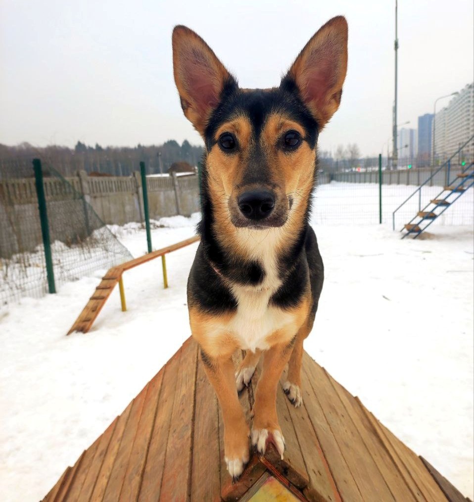 Я Джей и республики Марий Эл. А это ведь место марийских шаманов