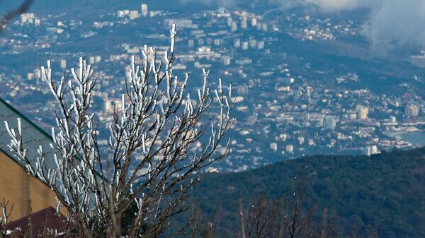    © РИА Новости . Сергей Мальгавко