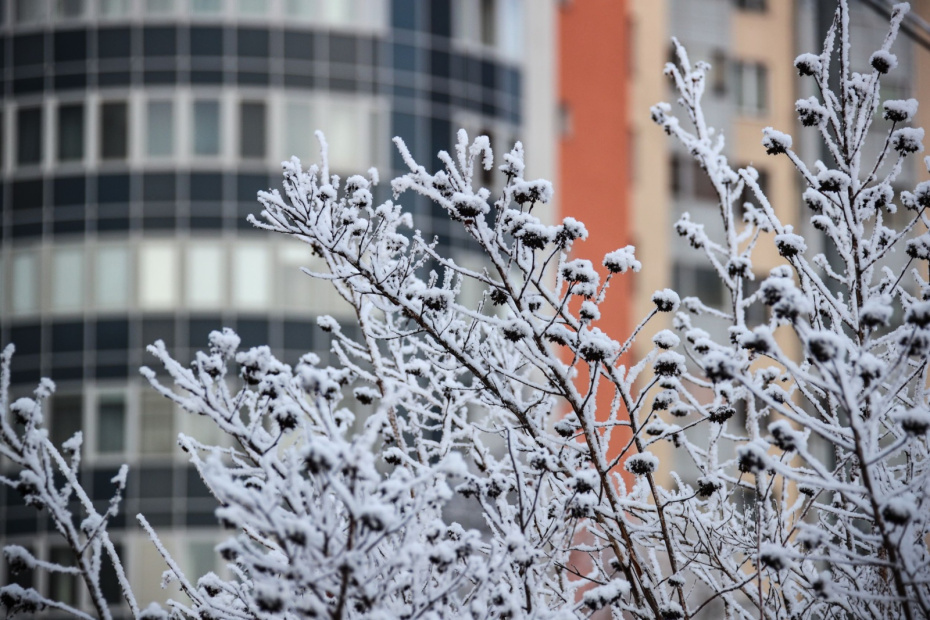    Сергей Лантюхов/NEWS.ru