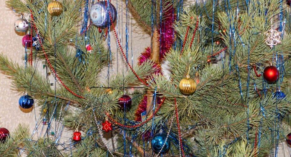    Эльвира Сафина/REGIONS