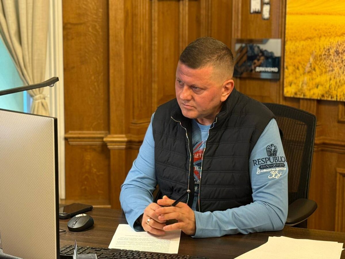    Валерий Залужный