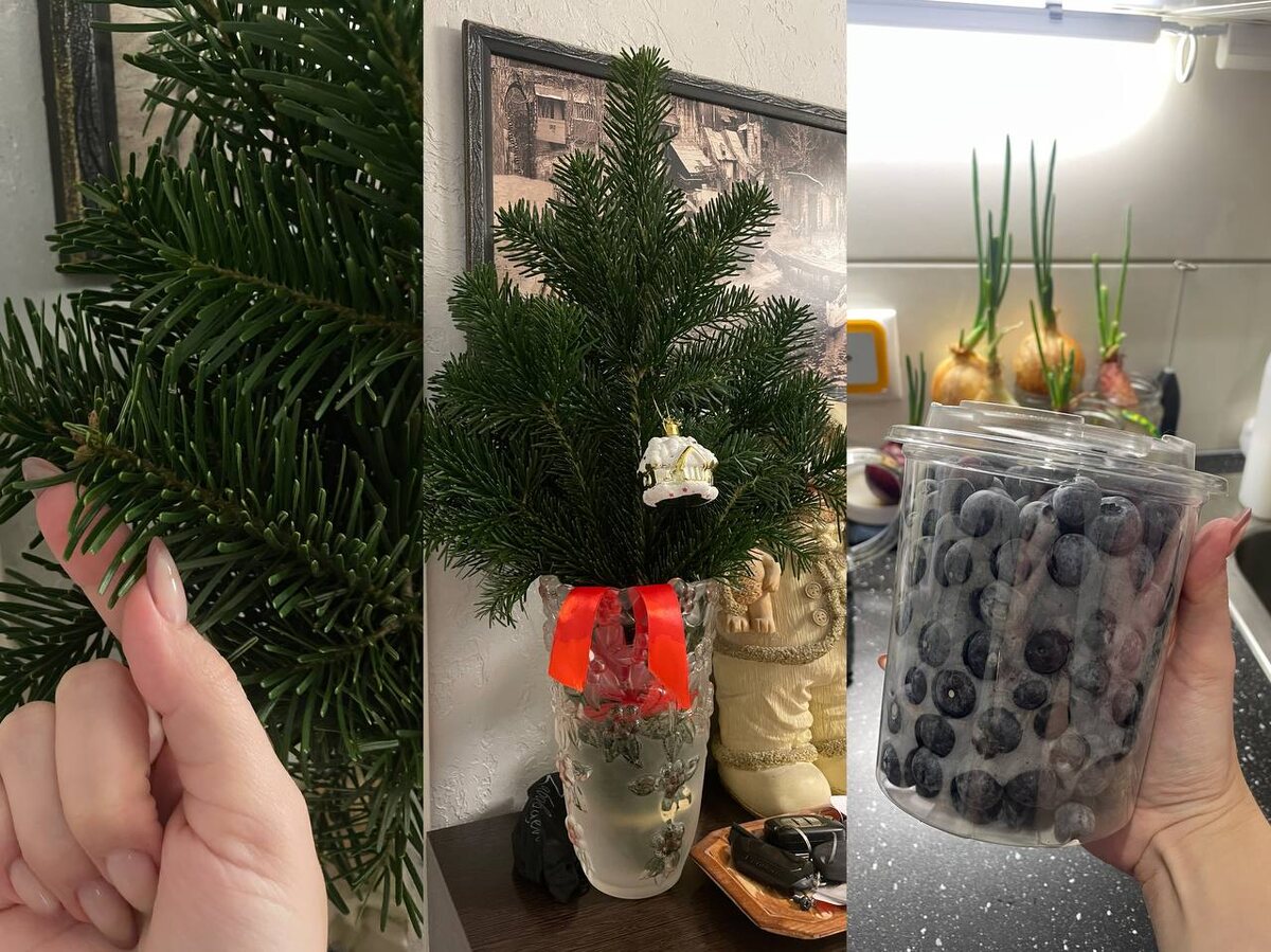 Смотрите, какой хорошенький букетик:) Делай нам новогоднее настроение срочно!✨