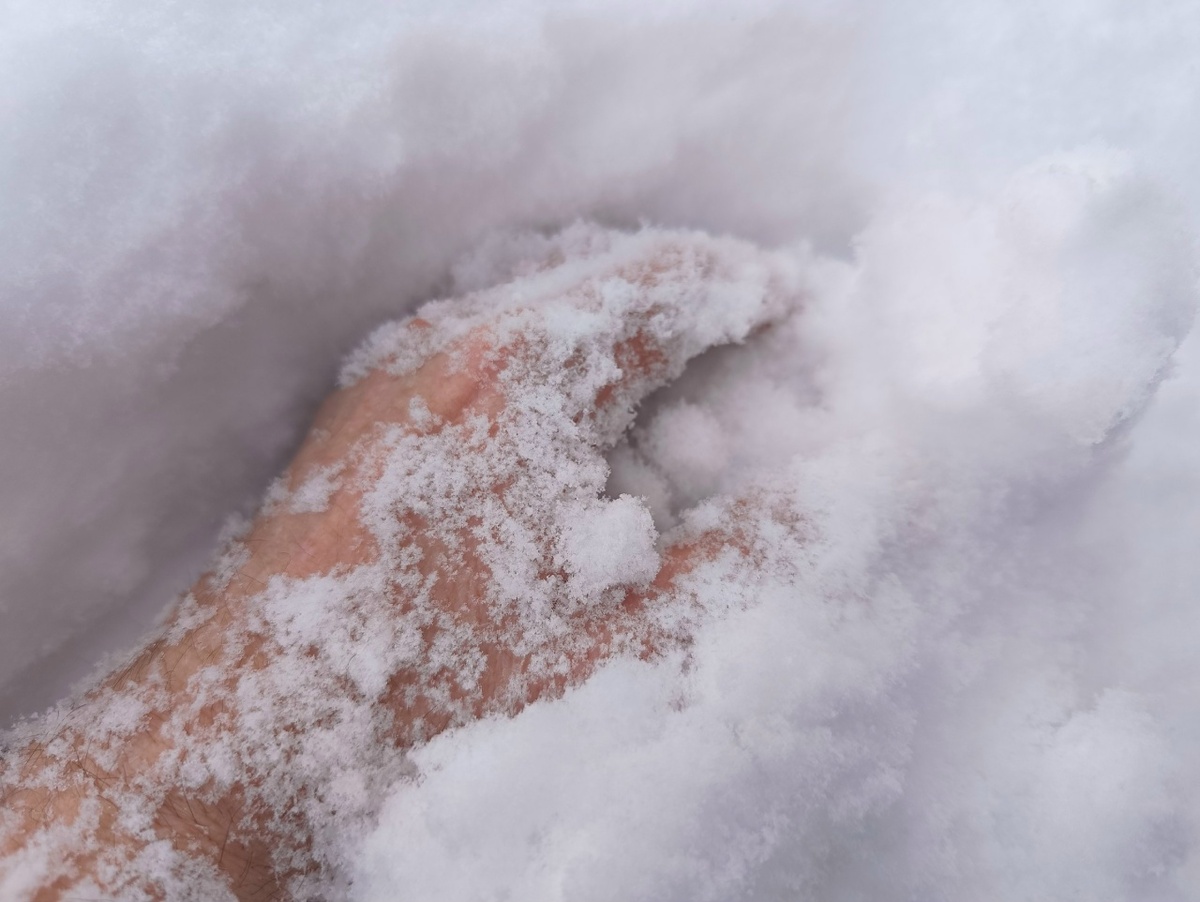    фото: © Столица на Онего