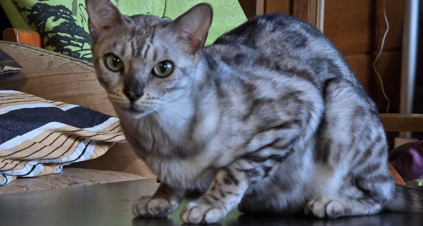    Фото Анастасии Дмитриевой