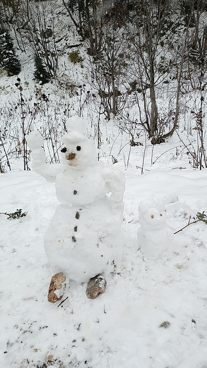 Снеговик со снегокотиком у Водопадистого