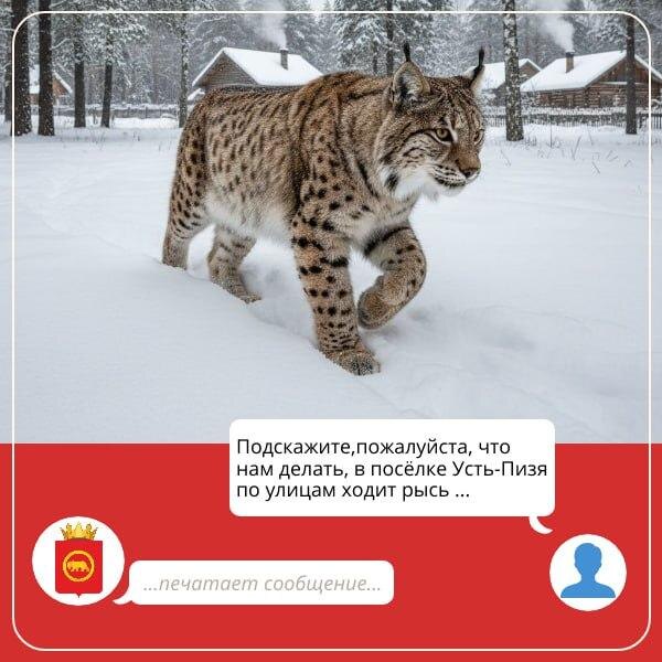    фото администрации Пермского МО