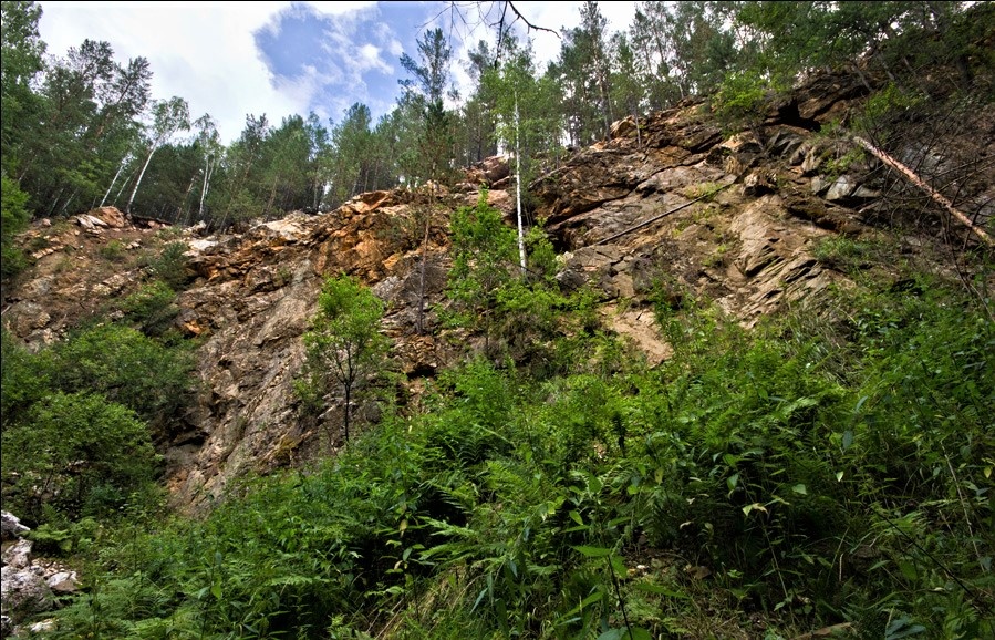 1. Откос у реки