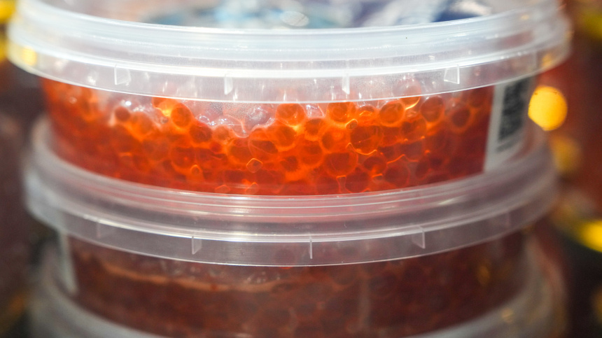    Фото: ИЗВЕСТИЯ/Дмитрий Коротаев; 5-tv.ru