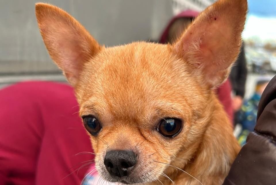    Фото: пресс-служба министерства ЖКХ Сахалинской области Наталья Краснова