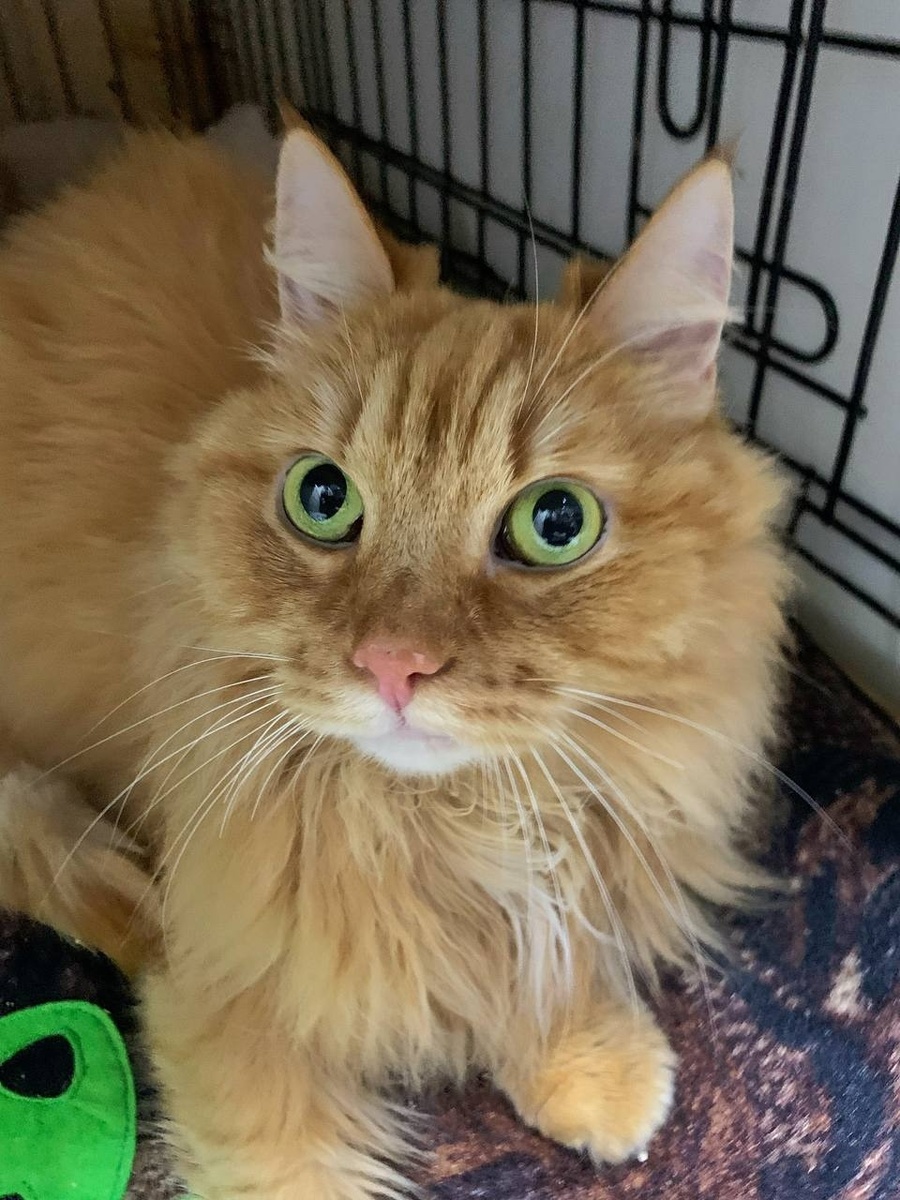 Есенин явно не может понять почему он в приюте.